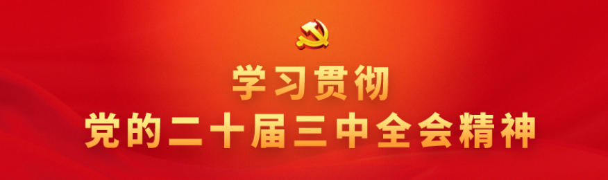 學(xué)習(xí)宣傳貫徹黨的二十大精神